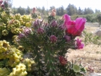 2012-07-10 13.36.44.jpg